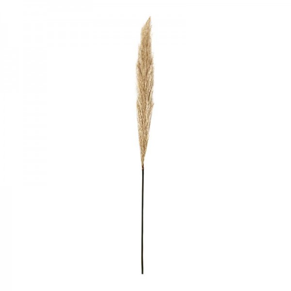 ΔΙΑΚΟΣΜΗΤΙΚΟ ΛΟΥΛΟΥΔΙ PAMPAS GRASS Fylliana 9573 ΜΠΕΖ ΧΡΩΜΑ 9x9x120εκ