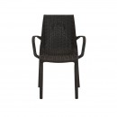 ΚΑΡΕΚΛΑ ΕΞΟΧΗΣ Fylliana 