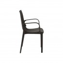 ΚΑΡΕΚΛΑ ΕΞΟΧΗΣ Fylliana 