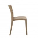 ΚΑΡΕΚΛΑ ΚΗΠΟΥ ΑΠΟ ΠΟΛΥΠΡΟΠΥΛΕΝΙΟ ΧΩΡΙΣ ΜΠΡΑΤΣΑ Fylliana 