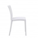 ΚΑΡΕΚΛΑ ΚΗΠΟΥ ΑΠΟ ΠΟΛΥΠΡΟΠΥΛΕΝΙΟ ΧΩΡΙΣ ΜΠΡΑΤΣΑ Fylliana 