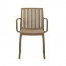 ΚΑΡΕΚΛΑ ΚΗΠΟΥ ΑΠΟ ΠΟΛΥΠΡΟΠΥΛΕΝΙΟ Fylliana 