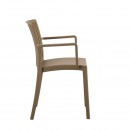 ΚΑΡΕΚΛΑ ΚΗΠΟΥ ΑΠΟ ΠΟΛΥΠΡΟΠΥΛΕΝΙΟ Fylliana 