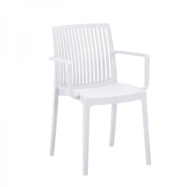 ΚΑΡΕΚΛΑ ΚΗΠΟΥ ΑΠΟ ΠΟΛΥΠΡΟΠΥΛΕΝΙΟ Fylliana 