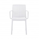 ΚΑΡΕΚΛΑ ΚΗΠΟΥ ΑΠΟ ΠΟΛΥΠΡΟΠΥΛΕΝΙΟ Fylliana 