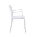 ΚΑΡΕΚΛΑ ΚΗΠΟΥ ΑΠΟ ΠΟΛΥΠΡΟΠΥΛΕΝΙΟ Fylliana 