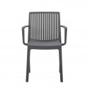 ΚΑΡΕΚΛΑ ΚΗΠΟΥ ΑΠΟ ΠΟΛΥΠΡΟΠΥΛΕΝΙΟ Fylliana 