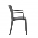 ΚΑΡΕΚΛΑ ΚΗΠΟΥ ΑΠΟ ΠΟΛΥΠΡΟΠΥΛΕΝΙΟ Fylliana 