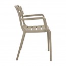 ΚΑΡΕΚΛΑ ΚΗΠΟΥ ΑΠΟ ΠΟΛΥΠΡΟΠΥΛΕΝΙΟ Fylliana 