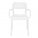 ΚΑΡΕΚΛΑ ΚΗΠΟΥ ΑΠΟ ΠΟΛΥΠΡΟΠΥΛΕΝΙΟ Fylliana 