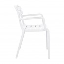 ΚΑΡΕΚΛΑ ΚΗΠΟΥ ΑΠΟ ΠΟΛΥΠΡΟΠΥΛΕΝΙΟ Fylliana 