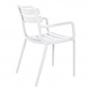 ΚΑΡΕΚΛΑ ΚΗΠΟΥ ΑΠΟ ΠΟΛΥΠΡΟΠΥΛΕΝΙΟ Fylliana 