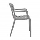 ΚΑΡΕΚΛΑ ΚΗΠΟΥ ΑΠΟ ΠΟΛΥΠΡΟΠΥΛΕΝΙΟ Fylliana 