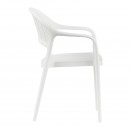 ΚΑΡΕΚΛΑ ΚΗΠΟΥ Fylliana 