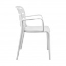 ΚΑΡΕΚΛΑ ΚΗΠΟΥ Fylliana 