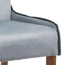 ΚΑΡΕΚΛΑ ΤΡΑΠΕΖΑΡΙΑΣ Fylliana NEW T15 MINT ΜΕ ΠΕΤΡΟΛ ΡΙΓΑ 51x50x90εκ