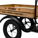 ΜΕΤΑΛΛΙΚΟ ΔΙΑΚΟΣΜΗΤΙΚΟ RETRO ΤΡΙΚΥΚΛΟ ΜΕ ΚΑΡΟΤΣΑ Fylliana Herbs ΜAΥΡΟ ΧΡΩΜΑ 135x44x106εκ