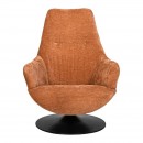 ΠΕΡΙΣΤΡΕΦΟΜΕΝΗ ΠΟΛΥΘΡΟΝΑ Fylliana 