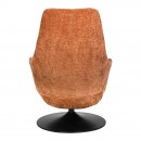 ΠΕΡΙΣΤΡΕΦΟΜΕΝΗ ΠΟΛΥΘΡΟΝΑ Fylliana 