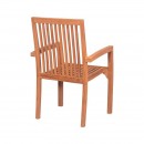 ΠΟΛΥΘΡΟΝΑ ΚΗΠΟΥ ΜΕ ΜΠΡΑΤΣΑ Fylliana 