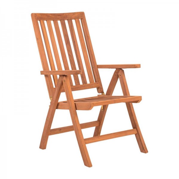 ΠΤΥΣΣΟΜΕΝΗ ΑΝΑΚΛΙΝΟΜΕΝΗ ΚΑΡΕΚΛΑ ΚΗΠΟΥ ΜΕ ΜΠΡΑΤΣΑ Fylliana 