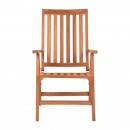 ΠΤΥΣΣΟΜΕΝΗ ΑΝΑΚΛΙΝΟΜΕΝΗ ΚΑΡΕΚΛΑ ΚΗΠΟΥ ΜΕ ΜΠΡΑΤΣΑ Fylliana 