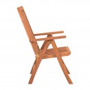 ΠΤΥΣΣΟΜΕΝΗ ΑΝΑΚΛΙΝΟΜΕΝΗ ΚΑΡΕΚΛΑ ΚΗΠΟΥ ΜΕ ΜΠΡΑΤΣΑ Fylliana 