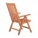 ΠΤΥΣΣΟΜΕΝΗ ΑΝΑΚΛΙΝΟΜΕΝΗ ΚΑΡΕΚΛΑ ΚΗΠΟΥ ΜΕ ΜΠΡΑΤΣΑ Fylliana 